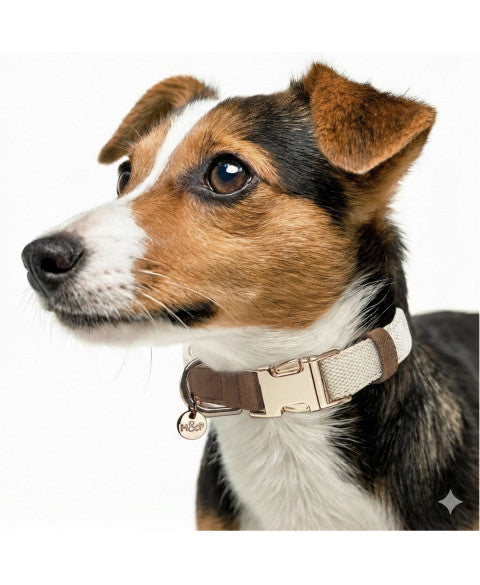 Collier Réglable Madura Milk & Pepper en Lin – Élégance naturelle pour chien