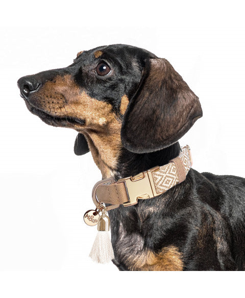 Collier Réglable Oroko Milk & Pepper – Élégance et confort pour chien