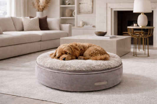Coussin rond LACOM déhoussable pour chien – Milk & Pepper