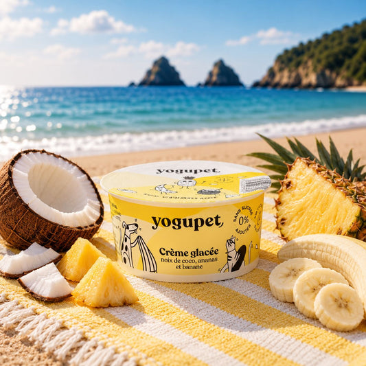 Crème Glacée Fruits Jaunes Yogupet – Coco, Banane & Ananas pour chien
