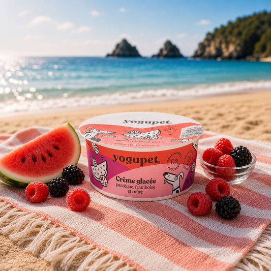 Crème Glacée Fruits Rouges Yogupet – Pastèque, Mûre & Framboise pour chien