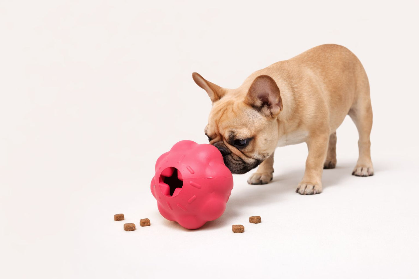 Jouet d’occupation Cupcake pour chien – SodaPup