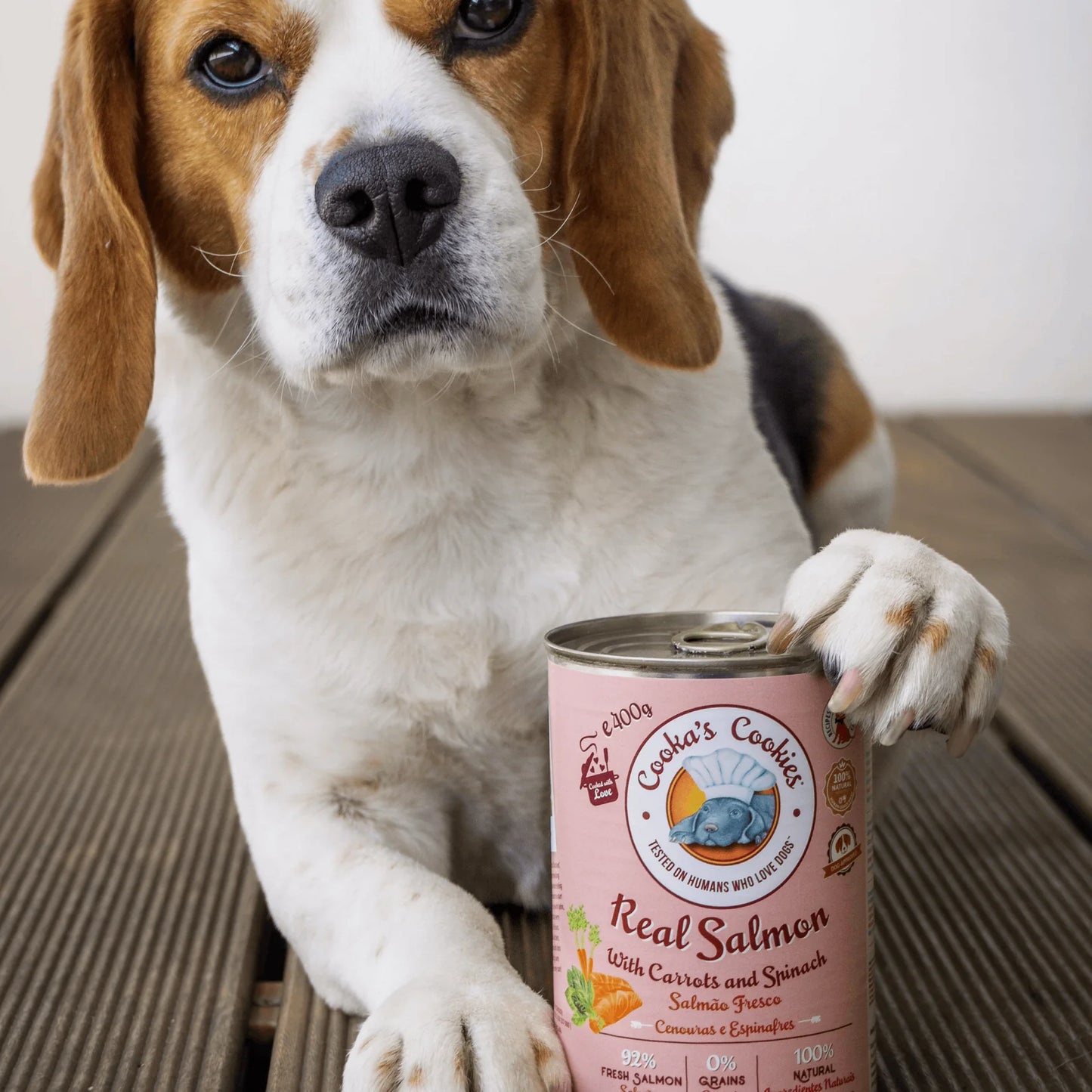 Pâtée au Saumon, Carottes & Épinards Cooka's Cookies – 100 % Naturelle & Sans Céréales pour Chien