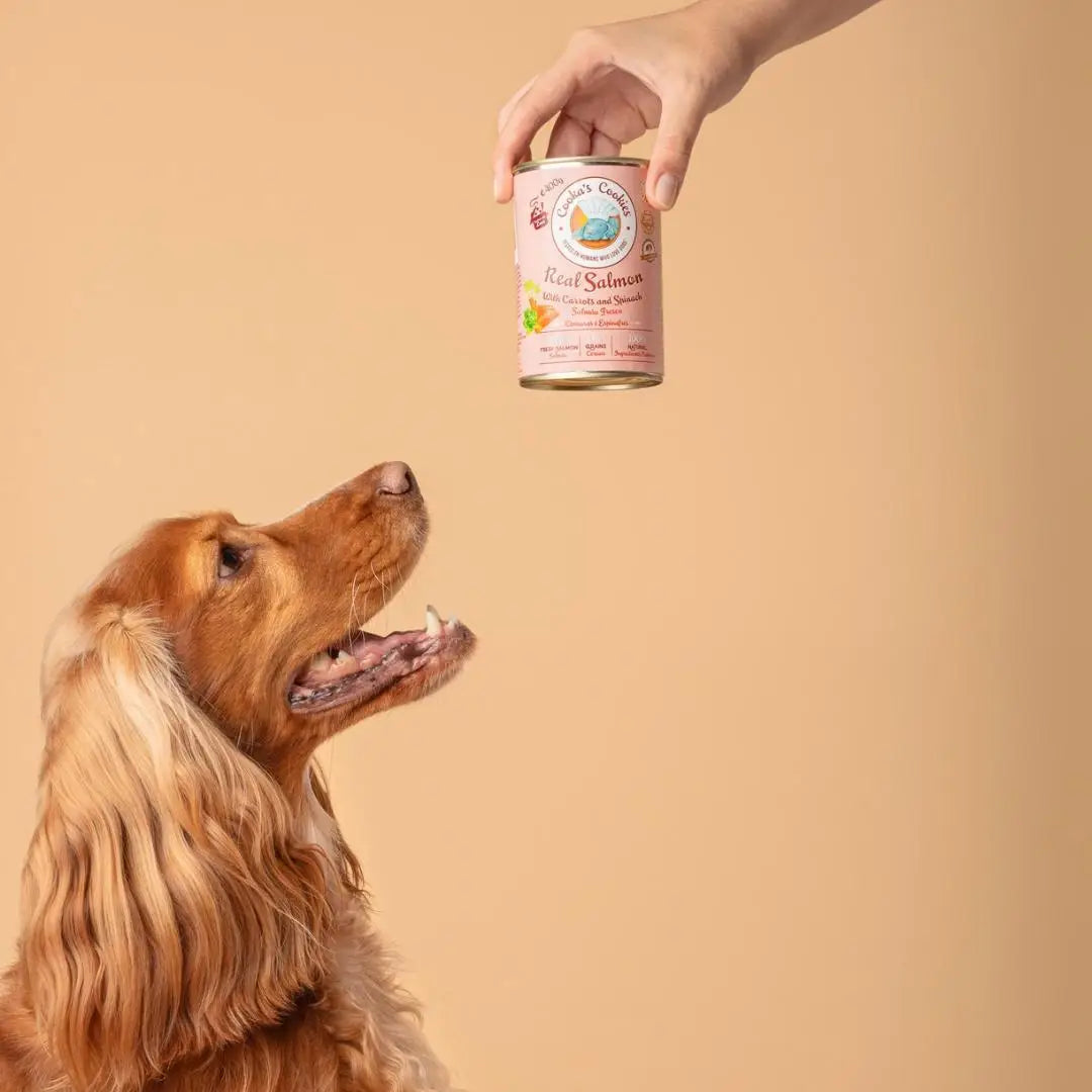 Pâtée au Saumon, Carottes & Épinards Cooka's Cookies – 100 % Naturelle & Sans Céréales pour Chien