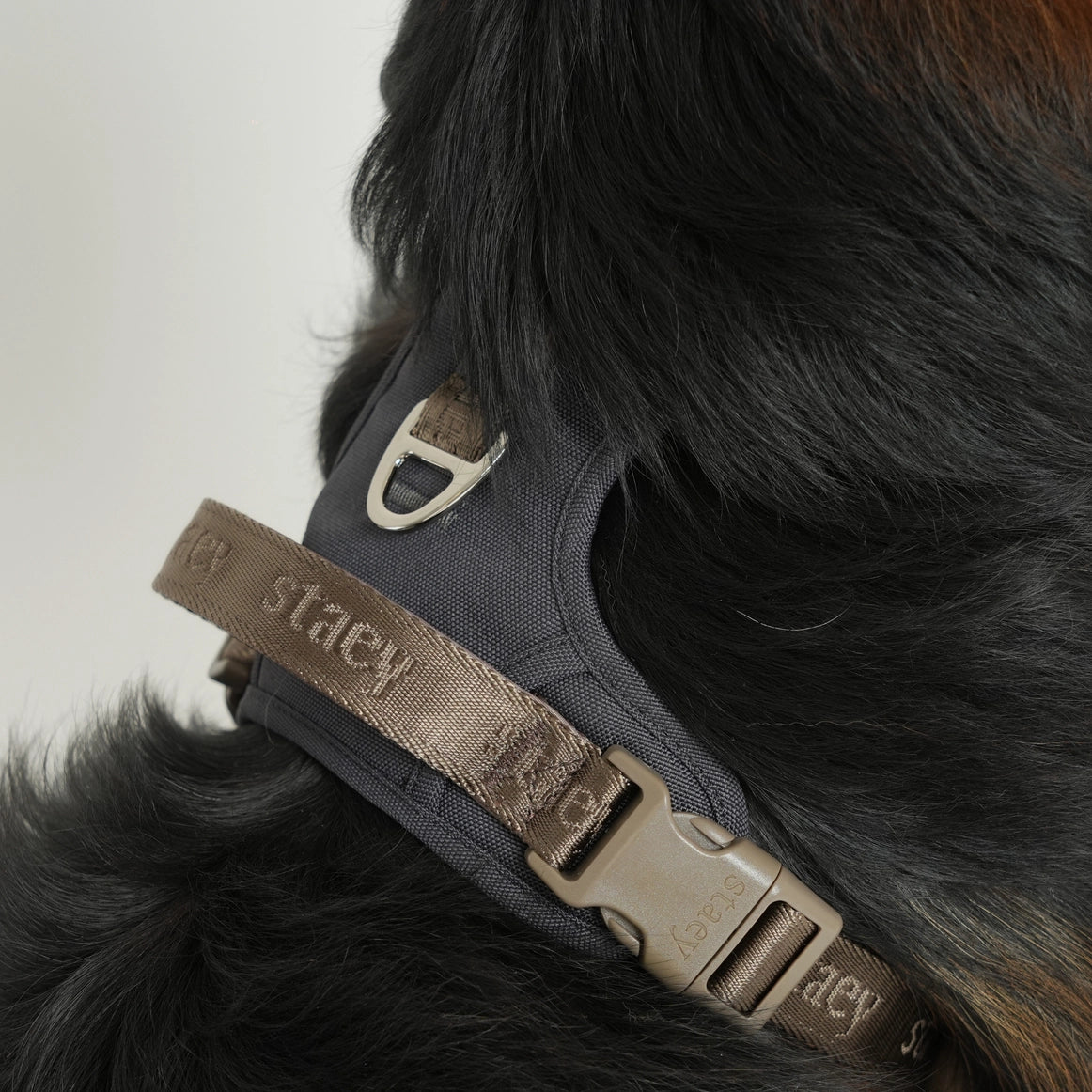 Harnais ELMA  pour chien – Staey