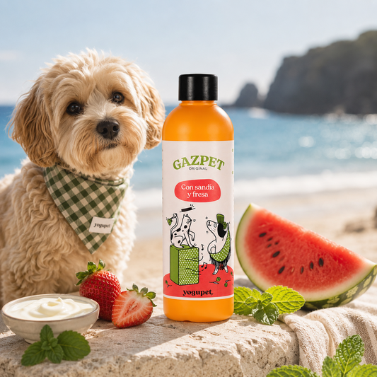 Gazpet Pastèque & Fraise Yogupet – Yaourt à boire sans lactose pour chien