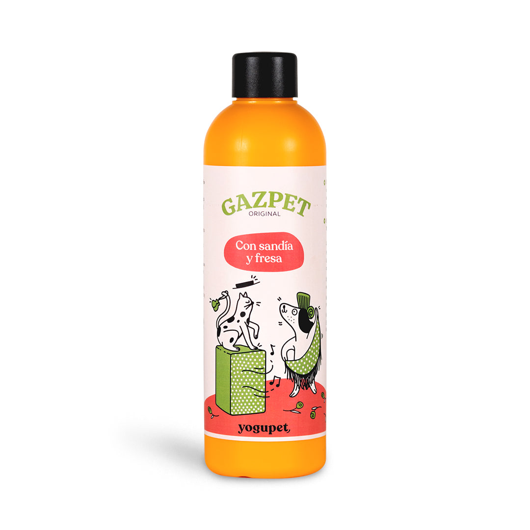 Gazpet Pastèque & Fraise Yogupet – Yaourt à boire sans lactose pour chien