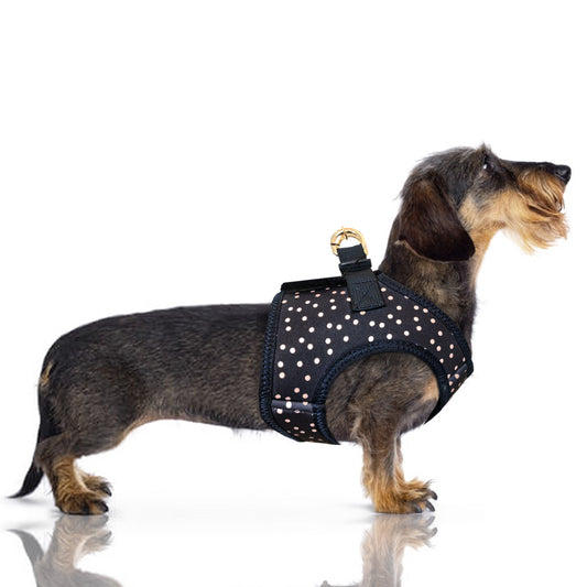 Harnais veste AMBRE pour chien – Milk & Pepper