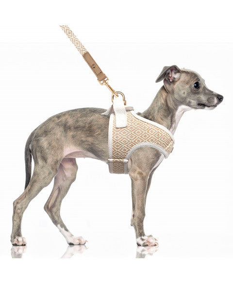 Harnais Crop Kofi Milk & Pepper – Harnais confortable et tendance pour chien