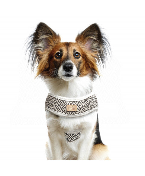 Harnais Crop Kofi Milk & Pepper – Harnais confortable et tendance pour chien