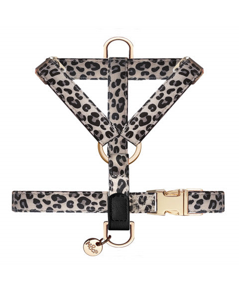 Harnais KENYA STRAPS pour chien – Milk & Pepper