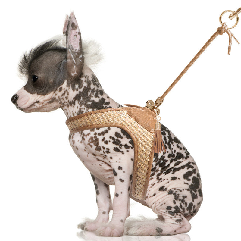 Harnais ASSIA Sling pour chien – Milk & Pepper