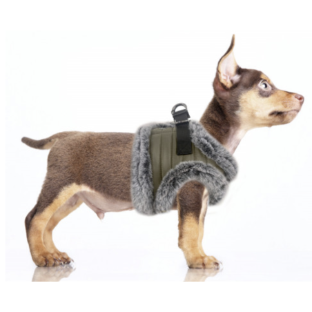 Harnais Veste FELIX pour chien – Milk & Pepper