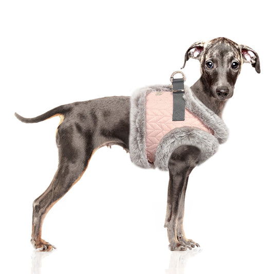 Harnais Veste JANETTE pour chien – Milk & Pepper