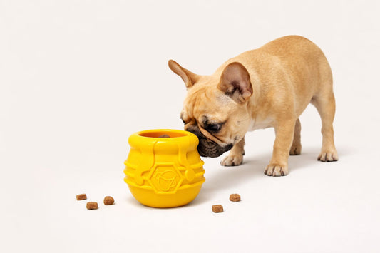 Jouet d’occupation HONEY POT pour chien – SodaPup