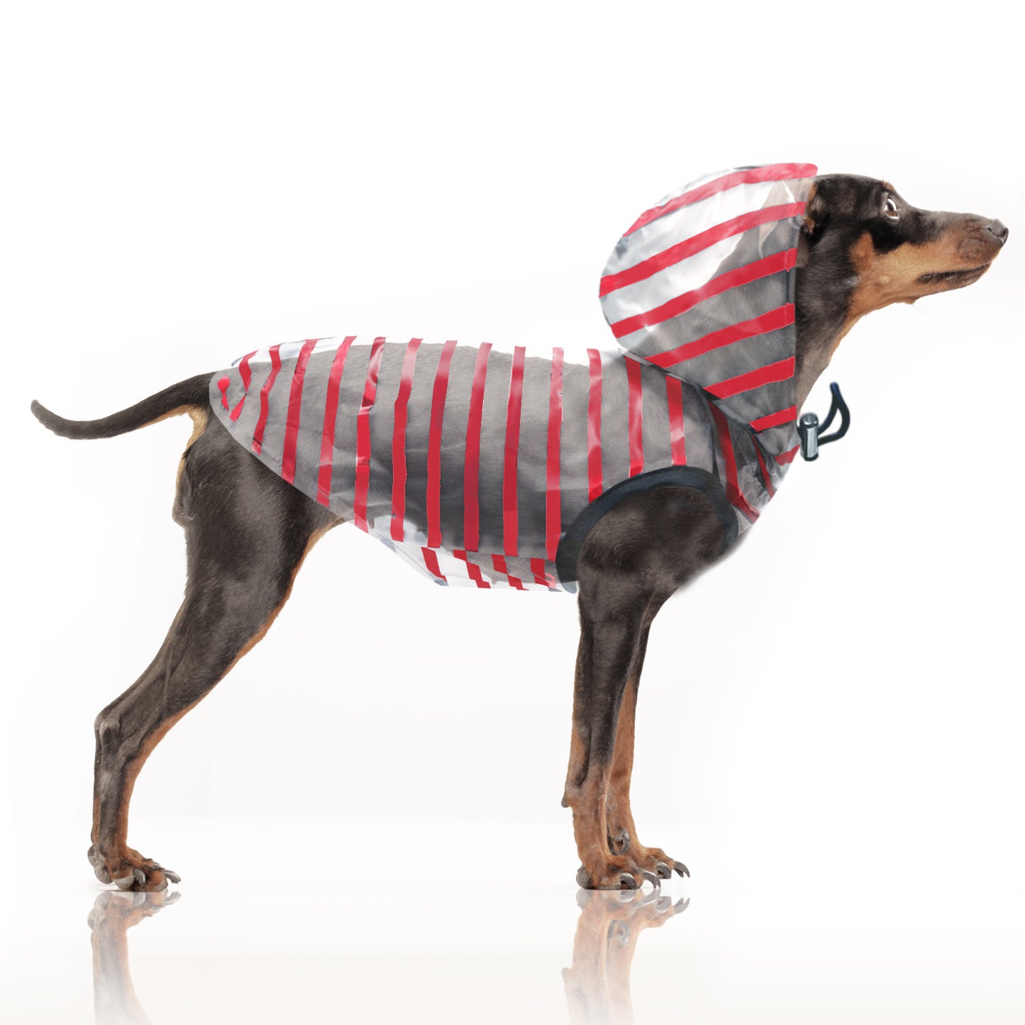 Imperméable ARZEL pour chien – Milk & Pepper