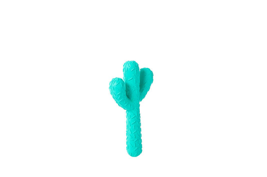 Jouet Cactus en caoutchouc pour chien