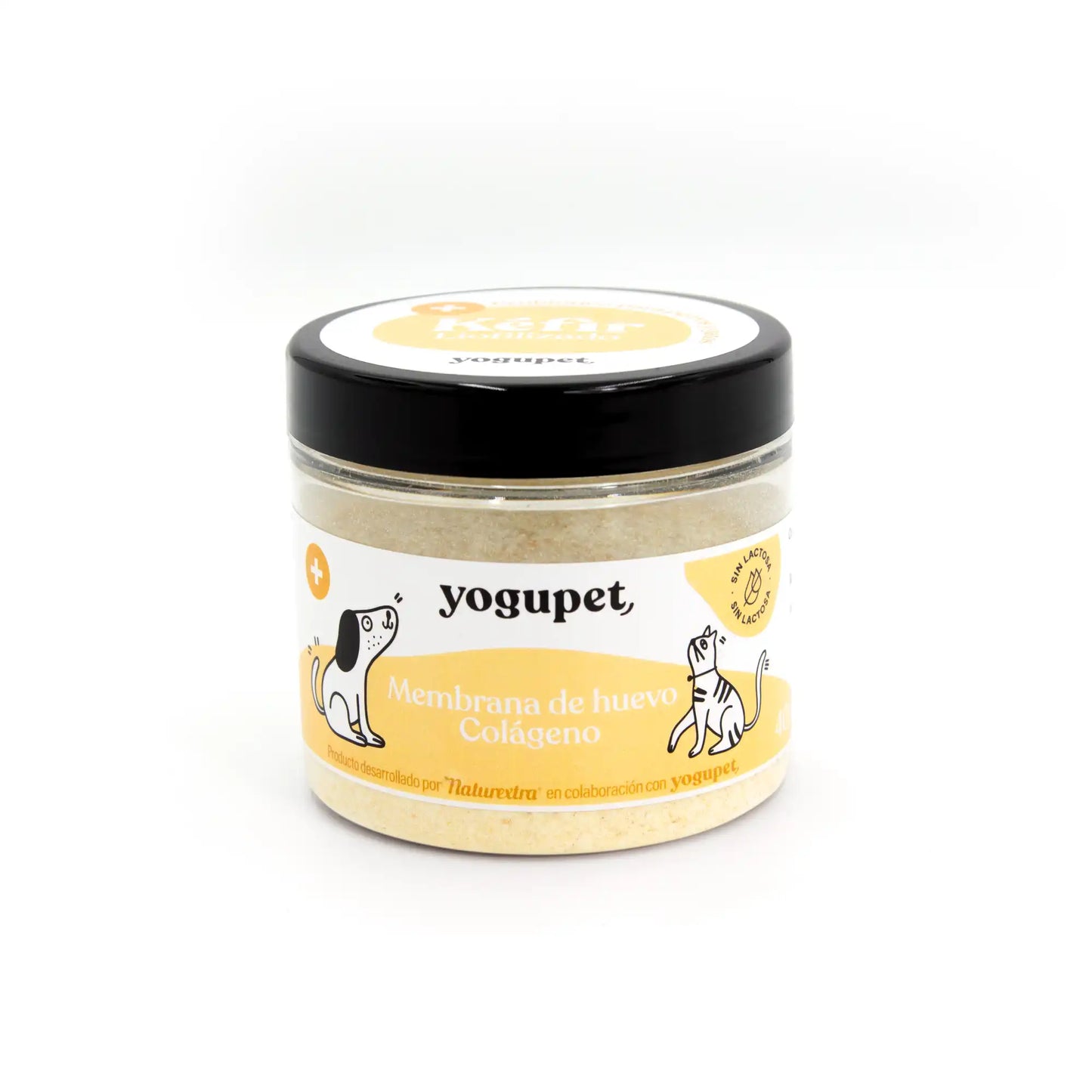Kéfir lyophilisé anti-inflammatoire (membrane d’oeuf, collagène & curcuma) pour chien – Yogupet
