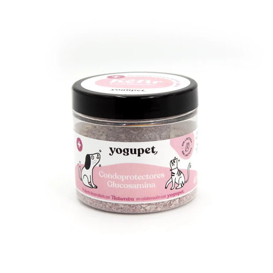 Kéfir lyophilisé chondroprotecteur pour chien – Yogupet