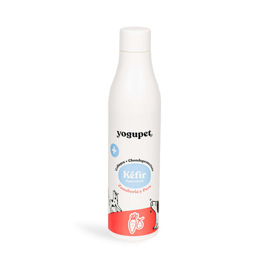 Kéfir Poire & Carotte spécial articulations pour chien – Yogupet