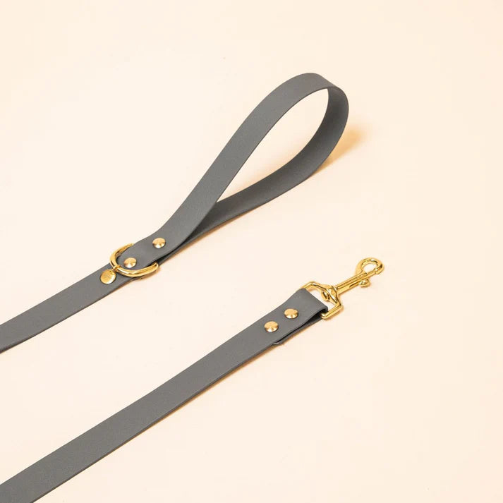 Laisse Biothane 120 cm pour chien – Fidèle Paris