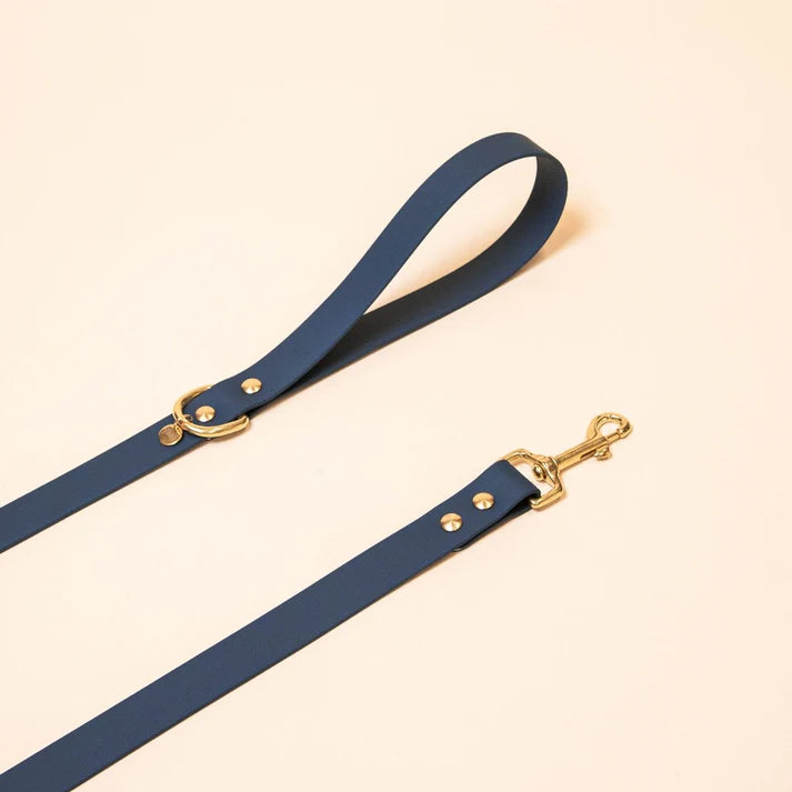 Laisse Biothane 120 cm pour chien – Fidèle Paris