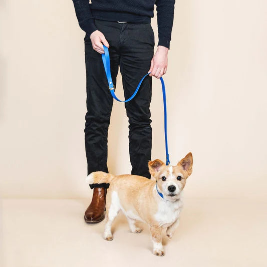 Laisse Biothane 120 cm pour chien – Fidèle Paris
