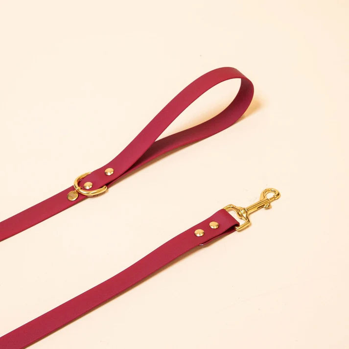 Laisse Biothane 120 cm pour chien – Fidèle Paris