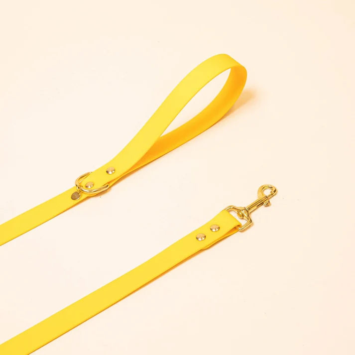 Laisse Biothane 120 cm pour chien – Fidèle Paris