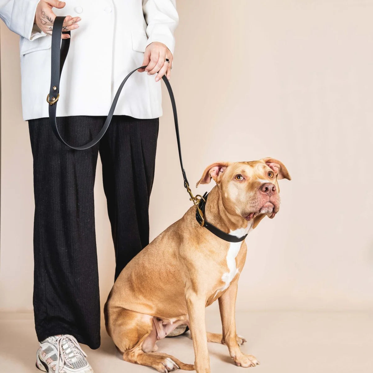 Laisse Biothane 120 cm pour chien – Fidèle Paris