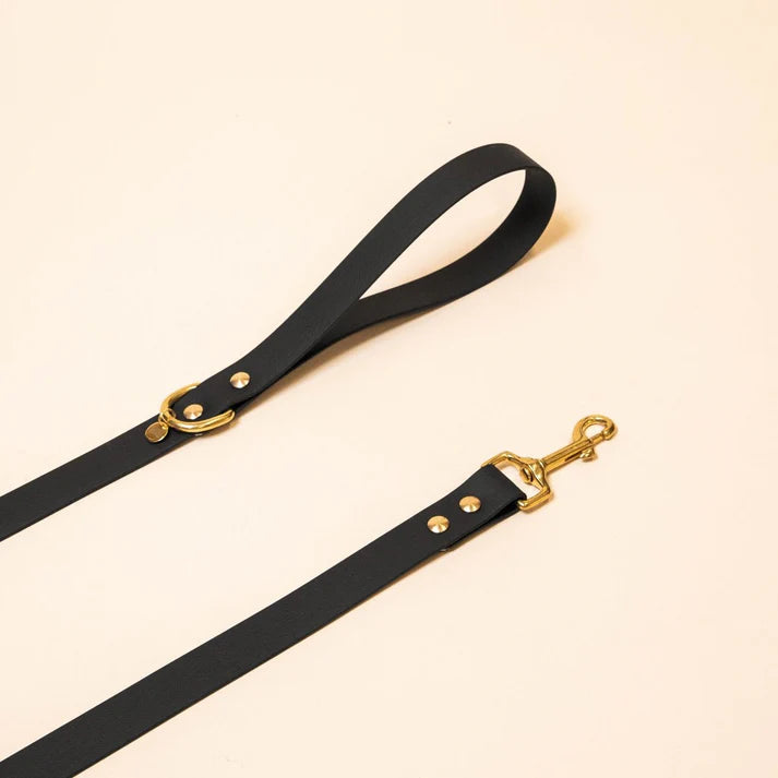 Laisse Biothane 120 cm pour chien – Fidèle Paris
