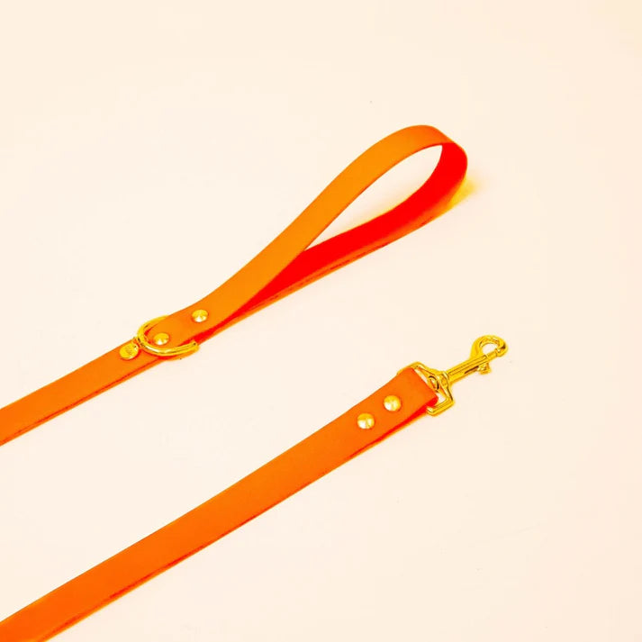 Laisse Biothane 120 cm pour chien – Fidèle Paris