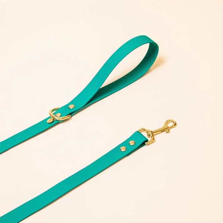 Laisse Biothane 120 cm pour chien – Fidèle Paris