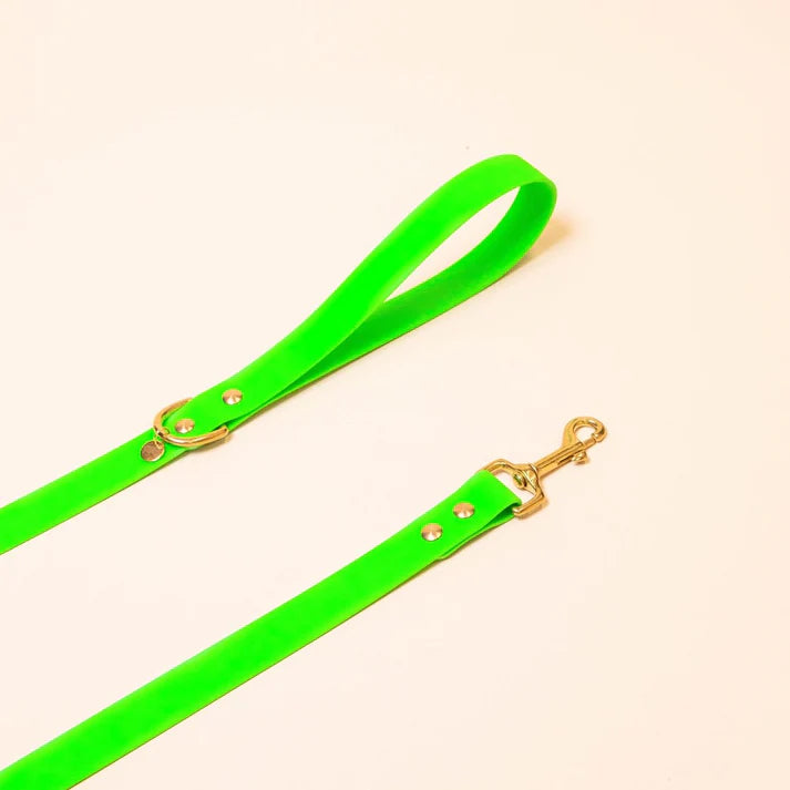 Laisse Biothane 120 cm pour chien – Fidèle Paris