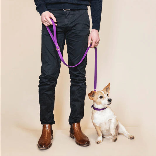 Laisse Biothane 120 cm pour chien – Fidèle Paris