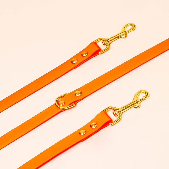 Laisse Biothane multiposition 260 cm pour chien – Fidèle Paris