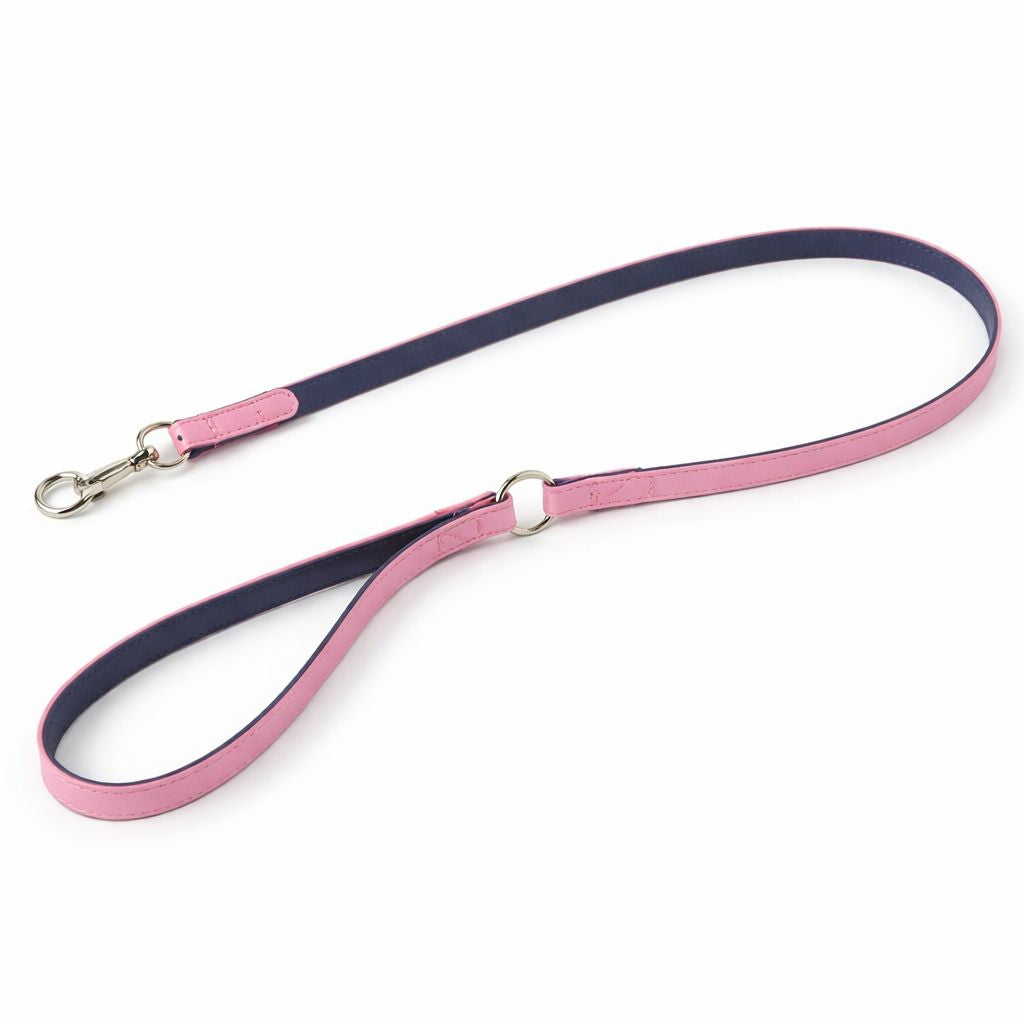 Laisse en cuir FIRENZE 120 cm pour chien – Das Lederband