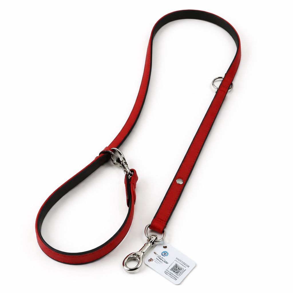 Laisse cuir multiposition VANCOUVER 200 cm pour chien – Das Lederband