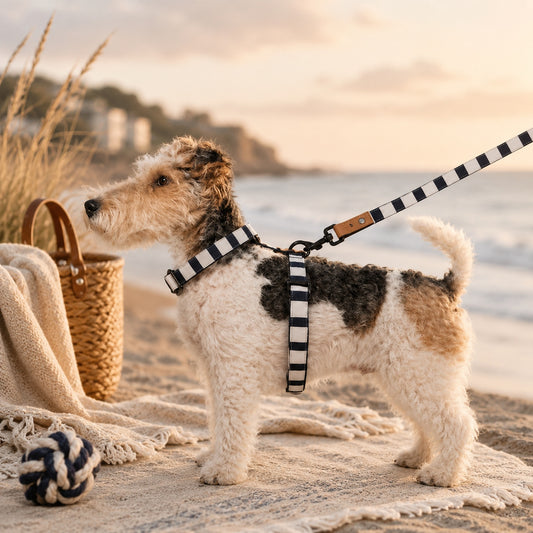 Harnais en Y NAVAL STRAPS pour chien – Milk & Pepper