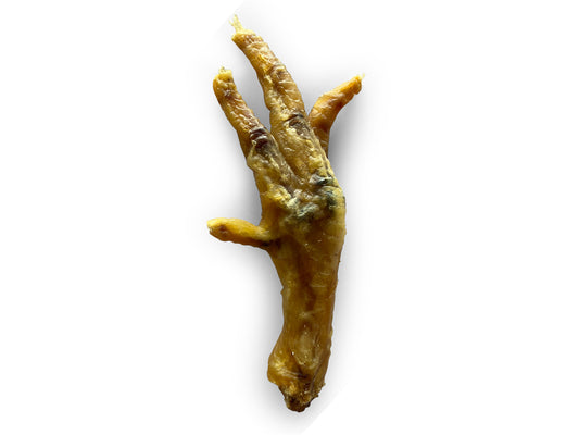 Pattes de poulet pour chien