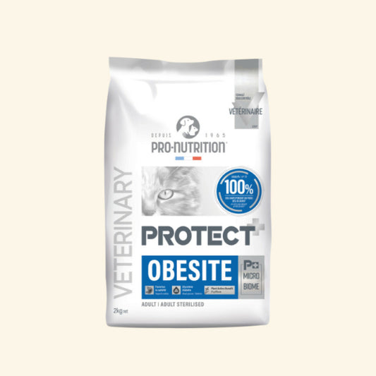Croquettes Protect Obésité pour chat 2 kg – Pro-Nutrition