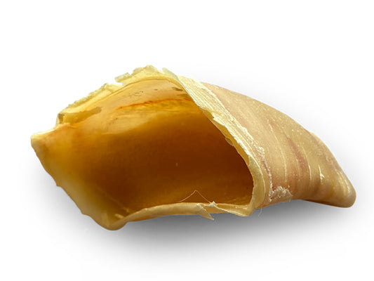 Sabot de veau naturel pour chien