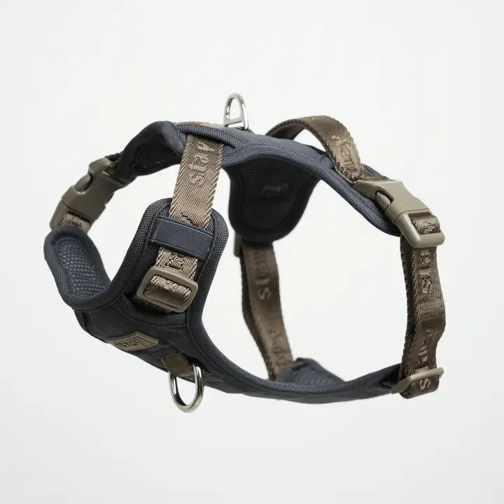 Harnais ELMA  pour chien – Staey