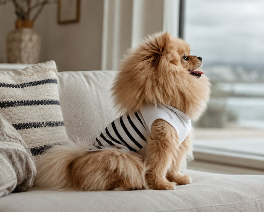 T-shirt SOLENA pour chien – Milk & Pepper