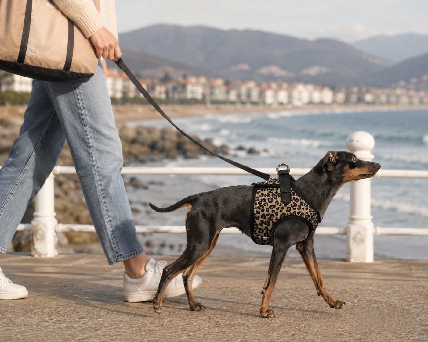 Harnais Veste Léopard ZENDAYA pour chien – Milk & Pepper